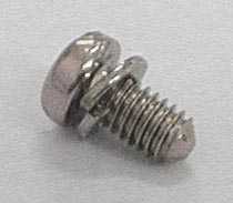 Combination screw with spring washer