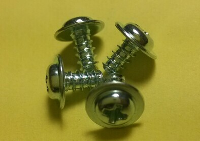Phillips washer screws